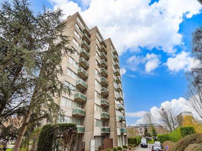 Appart deux chambres - électricité conforme, châssis neufs