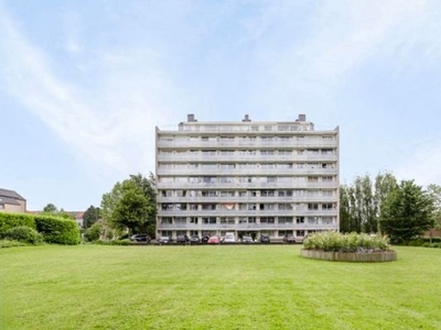 Mooi penthouse appartement met 50m² terras en prachtig zicht