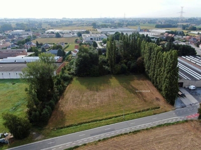 Nieuwbouw bedrijfsgebouw te koop in Anzegem