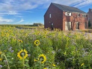 Nieuwe villa 4 slaapkamers/2 badkamers - energiezuinig - PEB