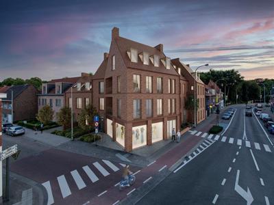 Luxueus en energiezuinig wonen in het dorp