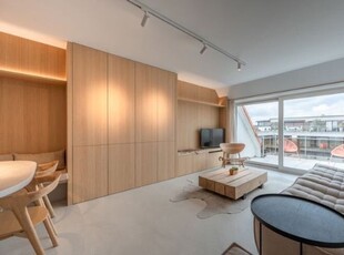 Prachtig nieuw ingerichte duplex met zolderruimte