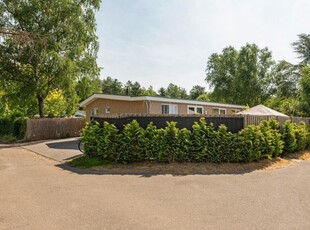 Geheel gerenoveerde luxe chalet met 4 slaapkamers in Poppel