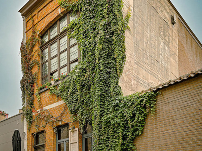 Huis Flori Van Acker, kunstenaarswoning-handelshuis op een unieke locatie in de schaduw van Sint-Salvatorskathedraal