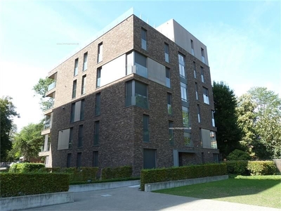 Appartement te huur Sint-Truiden