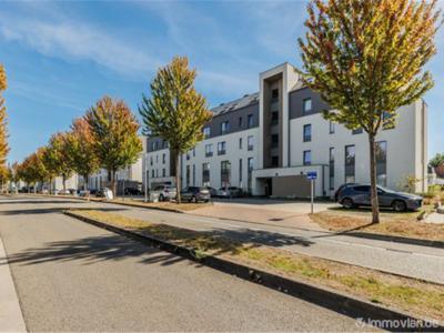 Rue de la sucrerie 19 0.2, 7000 Bergen, Mons