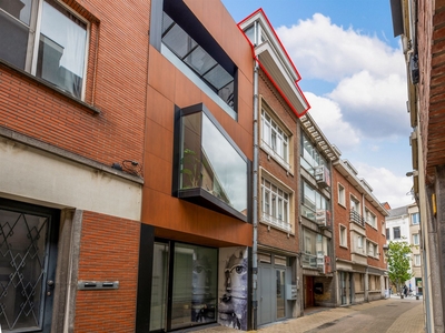 Vernieuwd éénslaapkamer appartement in centrum Mechelen