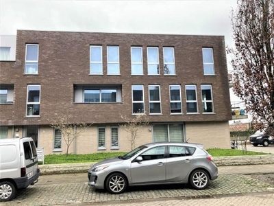 Jaspar van kinschotstraat 33 3, 2300 Turnhout