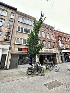 Gezellig appartement met 1 slaapkamer in centrum Antwerpen