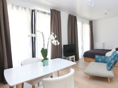 Luminous studio apartment for rent in Brussels City Center