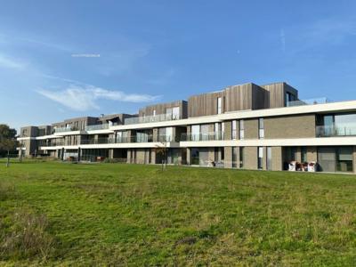 Nieuwbouw assistentiewoning te huur in Residentie Meerschevenne Berlare