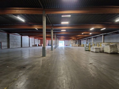 4.250m² industrieel magazijn TE HUUR in Moeskroen