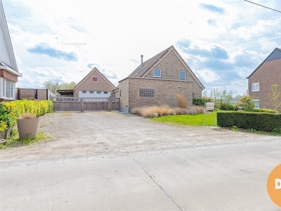 Nieuwbouw huis te koop in Appelterre-Eichem