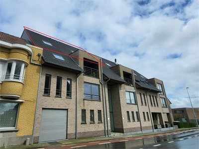 Nieuwbouw appartement te huur in Zonnebeke