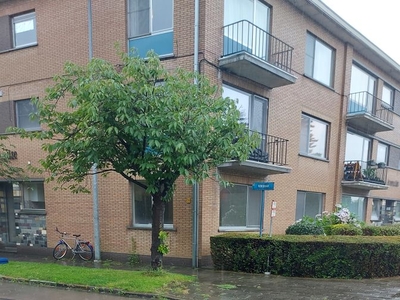 Licht, ruim, goed gelegen appartement, in volle renovatie.