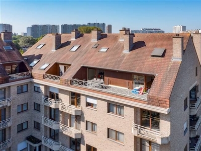 Magnifieke duplex penthouse met 4 slk + 4 badk op Linkeroeve