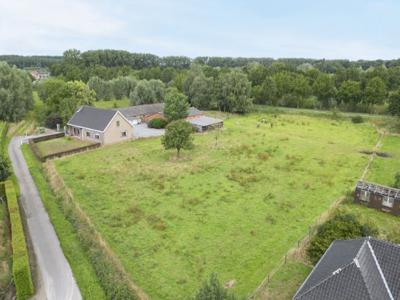 Boerenhof op einde doodlopende straat (10.064m²)