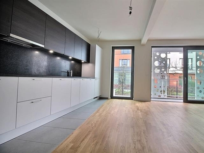 CINQUANTENAIRE: NEW apart 2bd with terrace