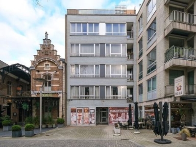 Dakappartement met ruim terras in het centrum van Hasselt