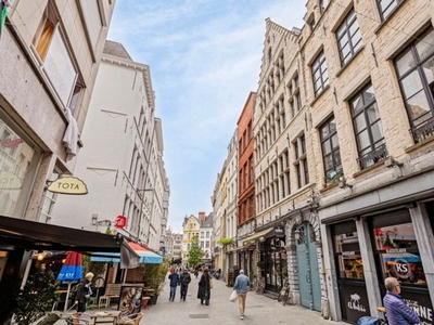 Uniek appartement in een 16e eeuws traditioneel diephuis.