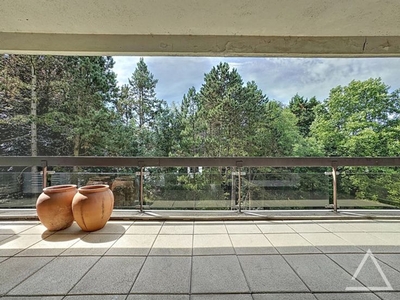 Mooie gerenoveerde studio met terras en gedeelde tuin