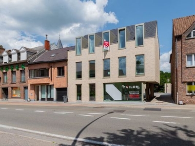 Ruim dakappartement met 2 slaapkamers en leuk terras