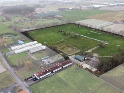 Boerderij te koop Staden