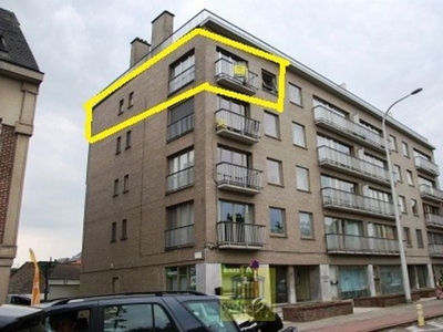 Gezellig appartement op wandelafstand van het centrum!