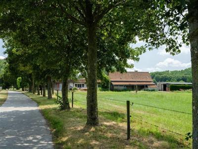 Hoeve met bijgebouwen in agrarisch gebied