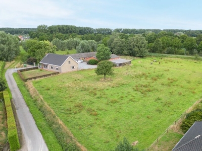 Boerenhof op einde doodlopende straat (10.064m²)