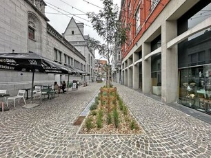 Quai de la Meuse - Superbe APPT rénové - 2 chambres