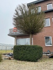 Ruim, gerenoveerd appartement te Sint-Maria-Oudenhove