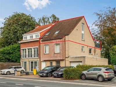 Drie eikenstraat 331, 2650 Edegem