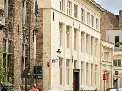 stijlvol en instapklaar Maison de Maître met sublieme tuin en achterhuis, dubbele garage