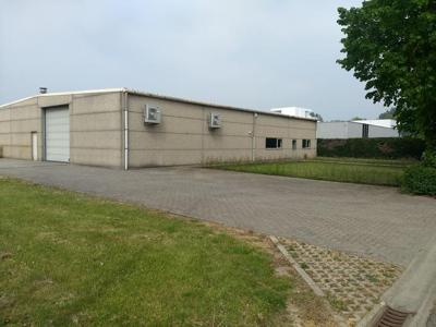 Bedrijfsgebouw te huur gelegen te Wingepark - Rotselaar