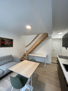 Gerenoveerde duplex studio in Leuven met terras!