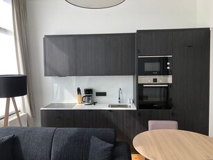 Gerenoveerd en bemeubeld appartement in centrum Antwerpen