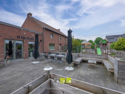 3690 Zutendaal, Hasselt