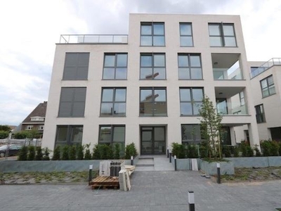 Rozenstraat 2,B0, 3630 Mechelen-aan-de-Maas, Tongeren