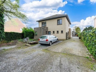 3581 Beverlo, Hasselt