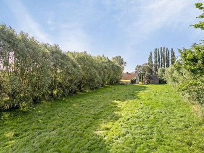 Landelijk stuk grond (9.334m²) te koop in Vichte