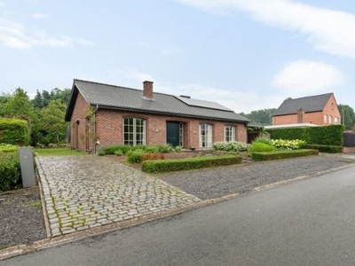 Snijwitstraat 3, 3530 Houthalen, Maaseik