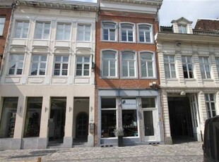 Aangenaam instapklaar duplex appartement te centrum Mechelen