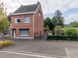 Tushoekstraat 14, 3980 Tessenderlo, Hasselt