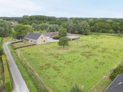 Boerenhof op einde doodlopende straat (10.064m²)