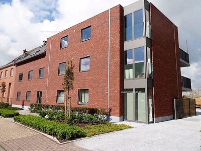 Nieuwbouw appartement te huur in Zwalm