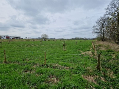 Nieuwbouw woning te koop in Sleidinge