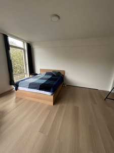 Mooie gerenoveerde studio te Belgielei 180 Antwerpen