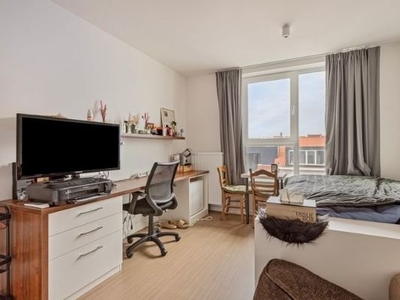 Nieuwbouw studentenkamer te koop in Brussello XL