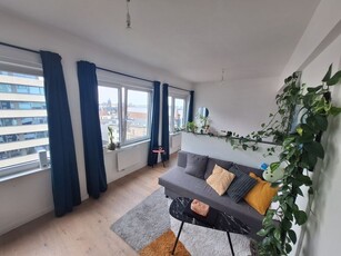 Mooie lichtrijke studio op toplocatie Zurenborgwijk